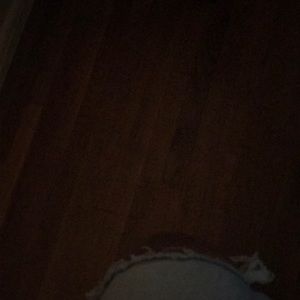 Meet your Posher, Simone